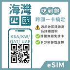 沙烏地阿拉伯eSIM｜科威特eSIM｜卡達eSIM｜阿聯酋eSIM｜吃到飽方案｜1-30天方案｜