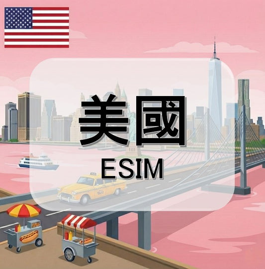 美國  (ESIM)